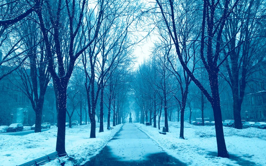 Comm Ave Mall