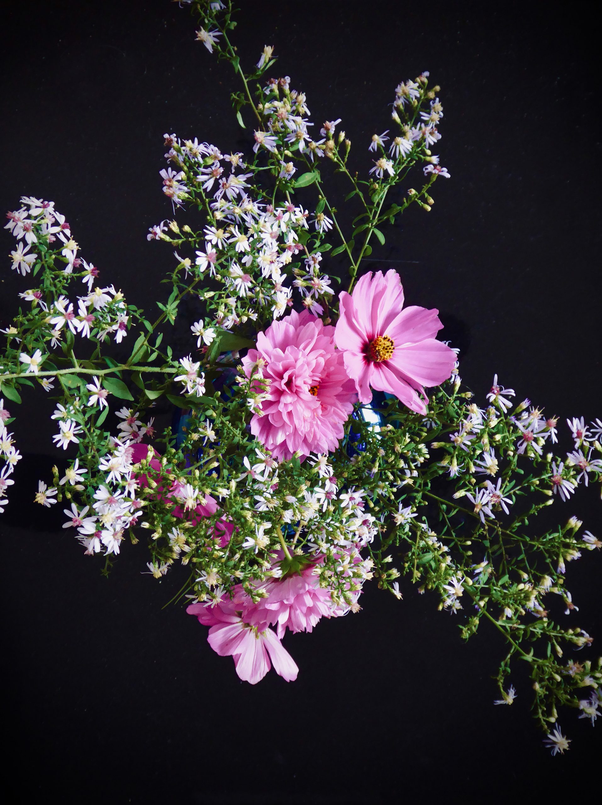 Flowers-Black