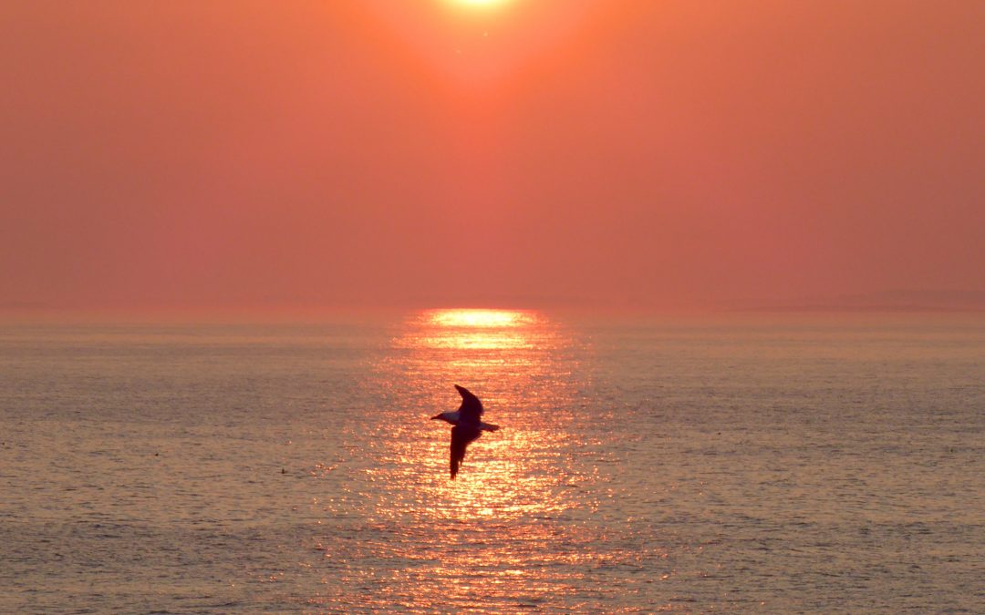 Sunrise
